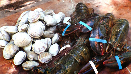 LOBSTER, CLAMS AND SHRIMP BBQ