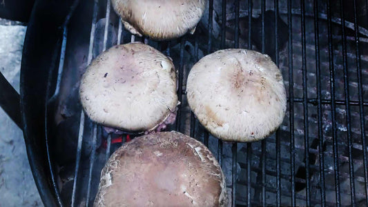 PORTOBELLO MUSHROOM CHEESEBURGER