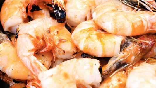 GRILLED SHRIMP SCAMPI