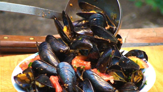 CHORIZO MUSSELS RECIPE